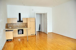 Wohnung zum Mieten: 8020 Graz - offene Küche im Wohnzimmer