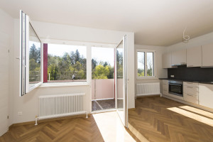Wohnung zum Kaufen: Auersperggasse 19, 8010 Graz - Eigentumswohnung Geidorf   (7)