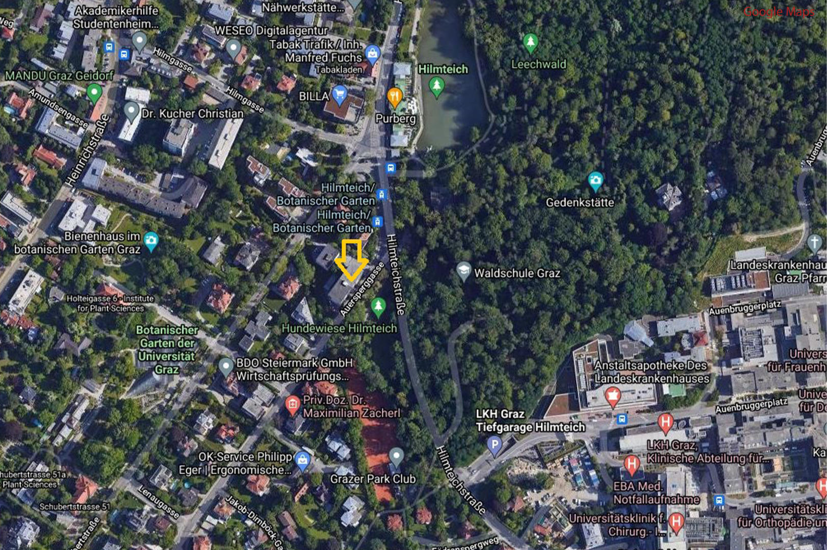 Wohnung zu kaufen: Auersperggasse 19, 8010 Graz - Maps_Ansicht