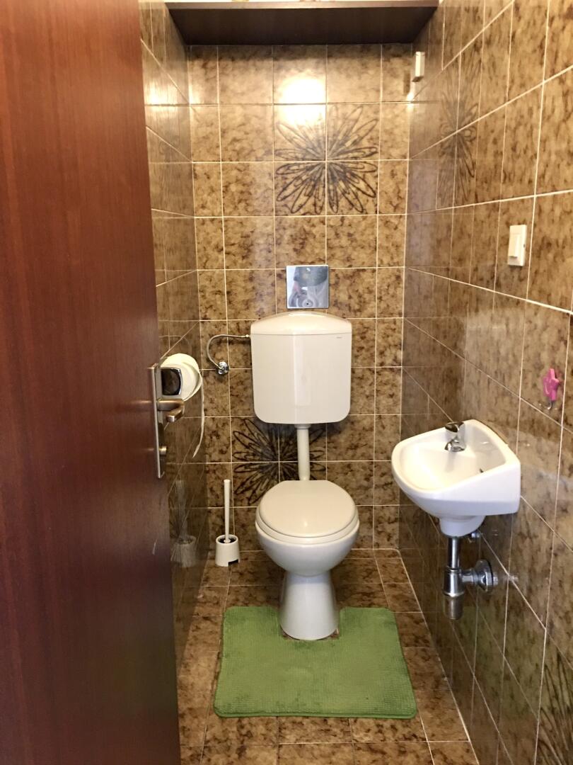 Wohnung zu mieten: 8010 Graz - WC, mit Handwaschbecken